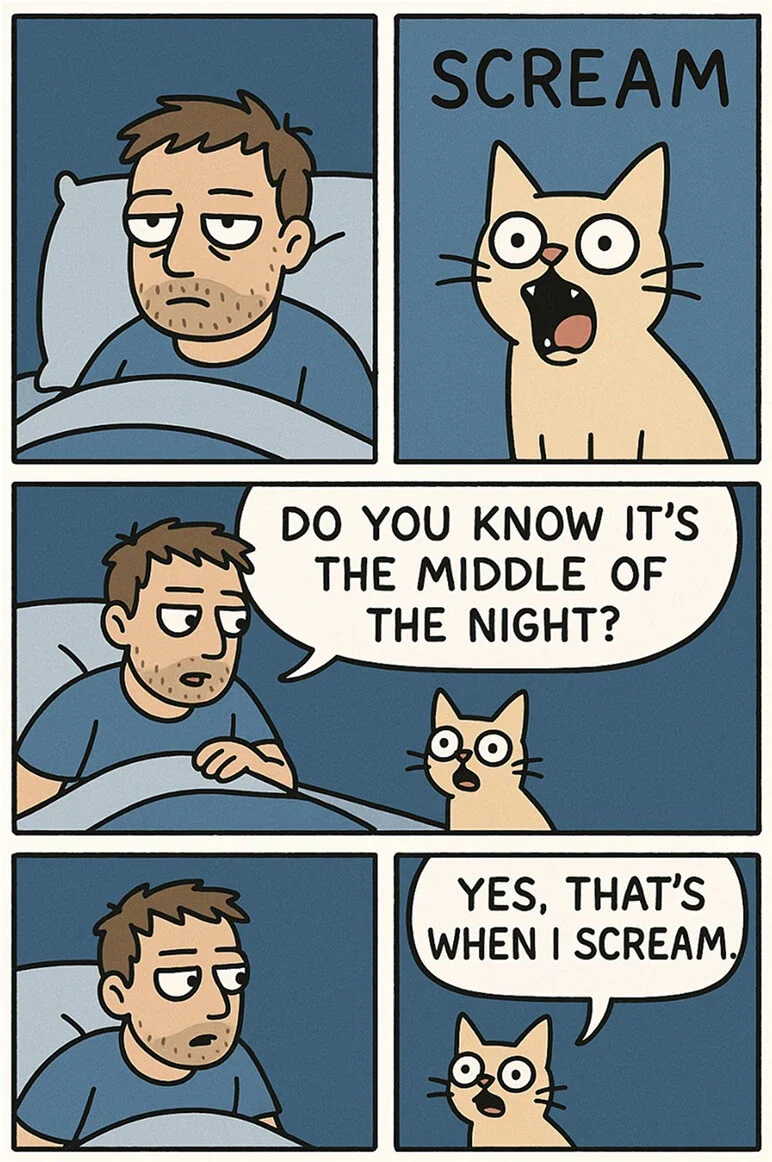 ZeroTwo AI | AI agent platform | A four-panel comic showing a tired man in bed and a wide-eyed cat screaming.